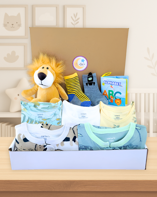Baby Boy Pj Bundle Gift with Lion Plush Toy, Socks & Book