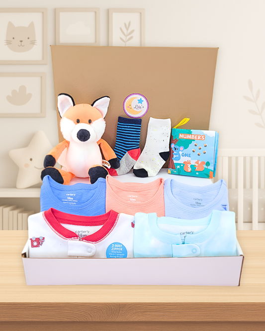 Baby Boy Pj Bundle Gift with Fox Plush Toy, Socks & Book