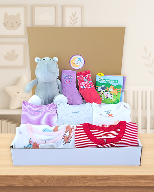 Baby Girl Pj Bundle Gift with Hippo Plush Toy, Socks & Book