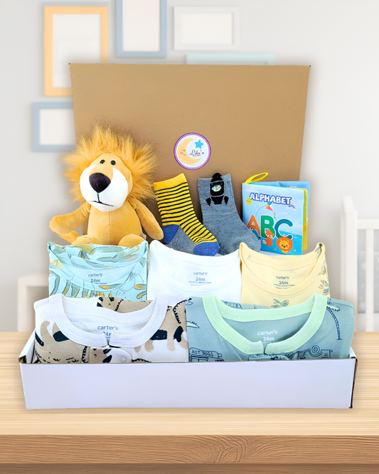 Baby Boy Pj Bundle Gift with Lion Plush Toy, Socks & Book